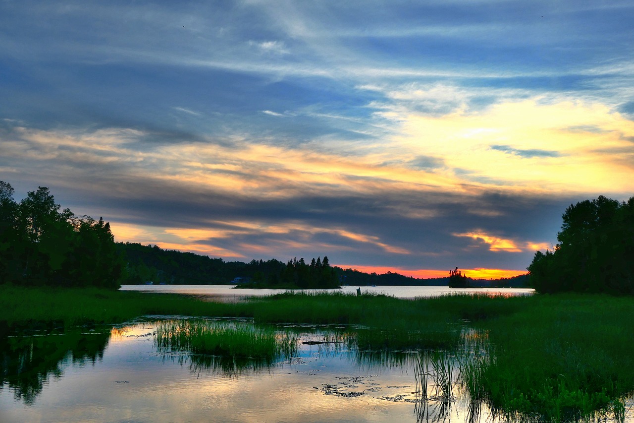 Conserving Biodiversity - Why Each Species Matters